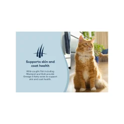 ZiwiPeak Steam & Dried Cat Food