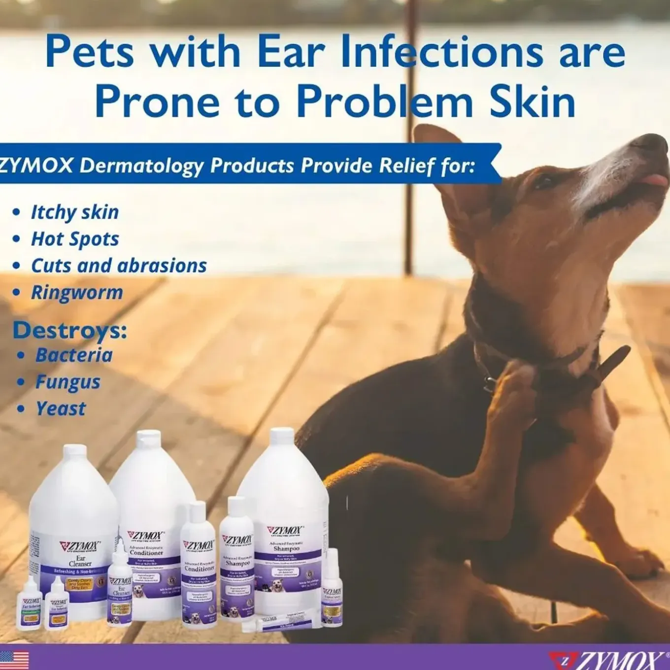 Zymox Advanced Enzymatic Dry or Itchy Skin Shampoo for Dogs & Cats